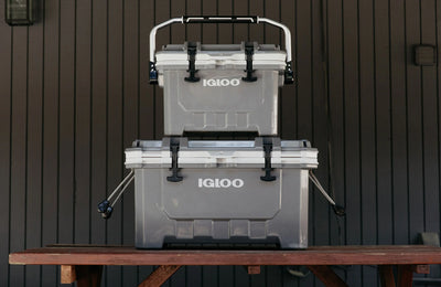 Get to Know Your New, Durable Cooler: The IMX